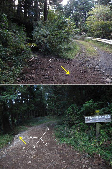 20181102hike (306)